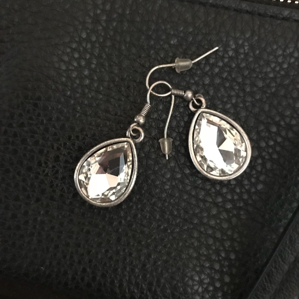 Premier Rhinestone Earnings